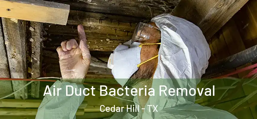  Air Duct Bacteria Removal Cedar Hill - TX