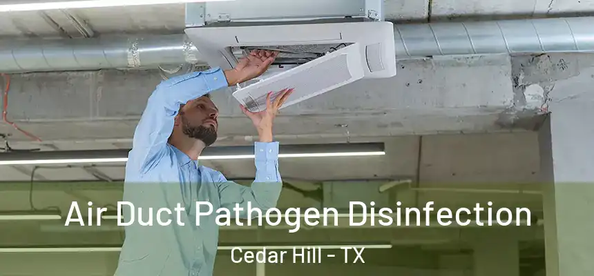  Air Duct Pathogen Disinfection Cedar Hill - TX