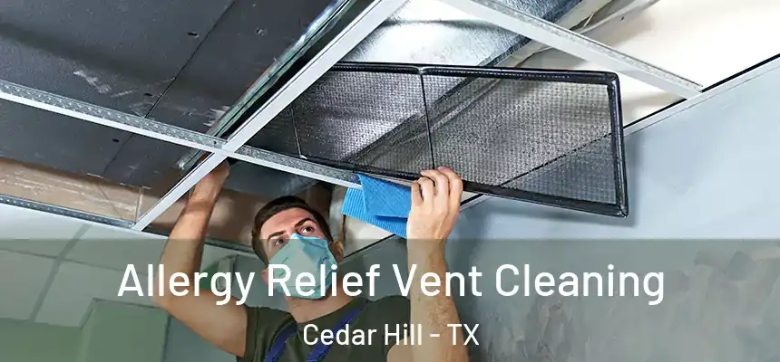  Allergy Relief Vent Cleaning Cedar Hill - TX