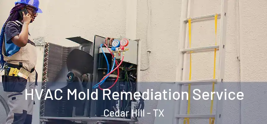  HVAC Mold Remediation Service Cedar Hill - TX