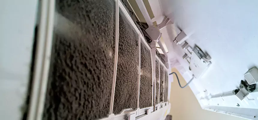 Preventive Air Duct Bacteria Removal in Cedar Hill