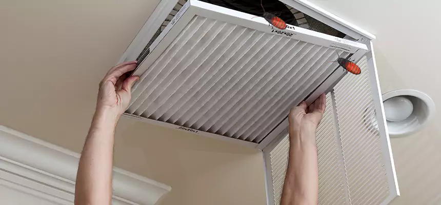 Preventive Cockroach-Proofing for Ducts in Cedar Hill