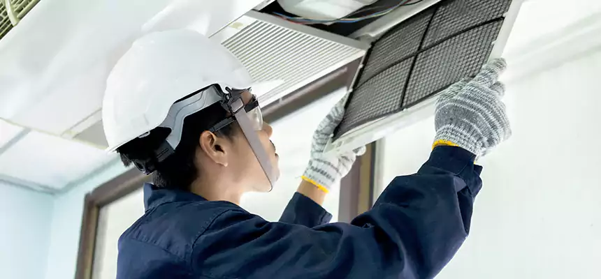 Our Mold & Mildew Removal from Air Ducts Services in Cedar Hill, TX