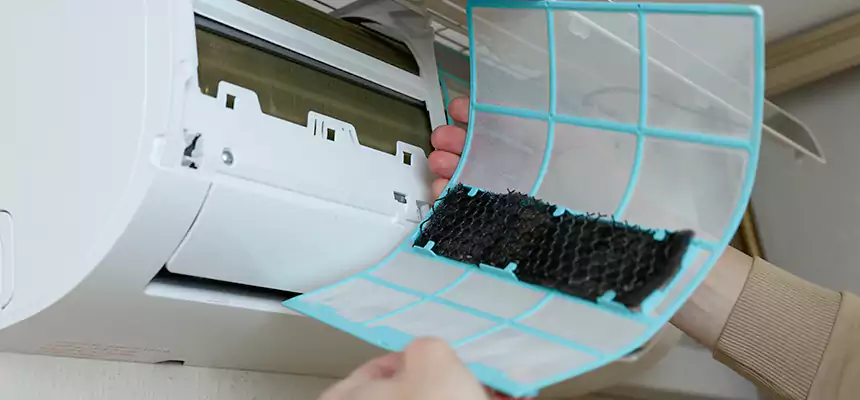 Gentle Ductwork Odor-Control Pet Dander Duct Cleaning in Cedar Hill, TX