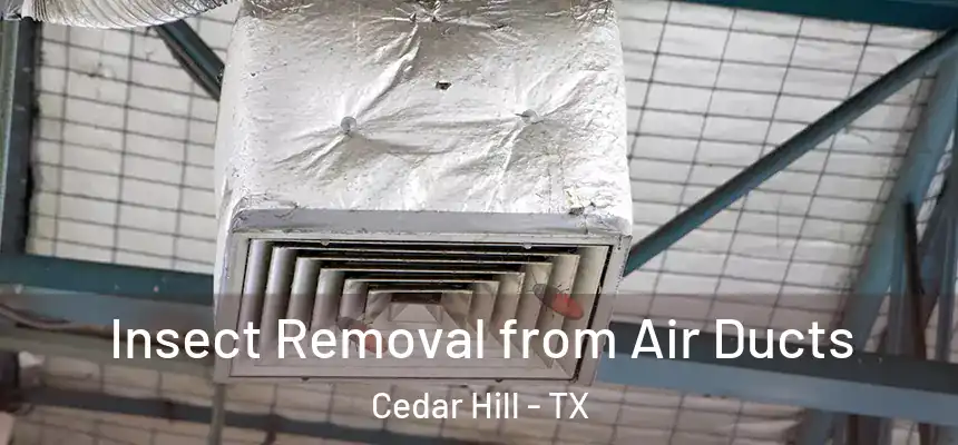  Insect Removal from Air Ducts Cedar Hill - TX
