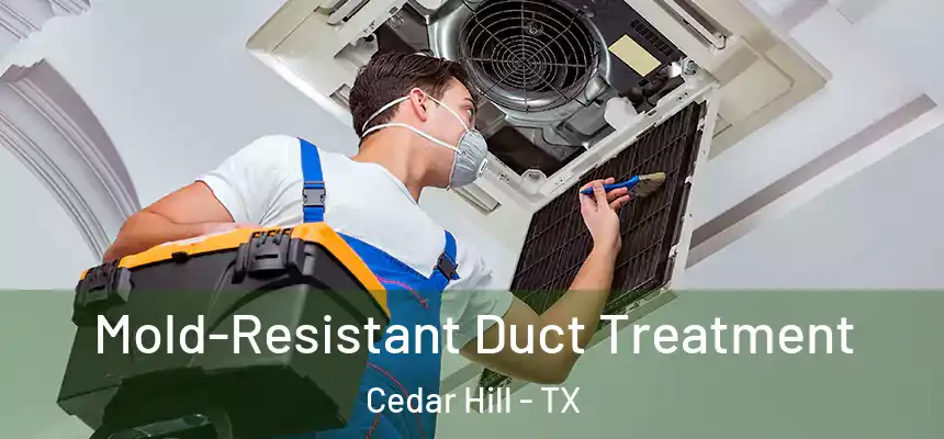  Mold-Resistant Duct Treatment Cedar Hill - TX