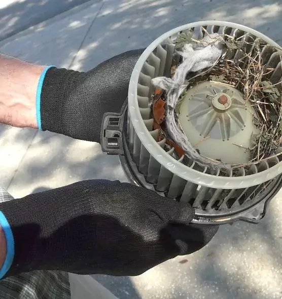 About Air Duct Rat Removal in Cedar Hill, TX