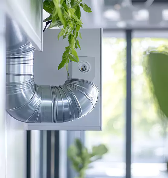 Professional Eco-Friendly Duct Cleaning Services in Cedar Hill, TX