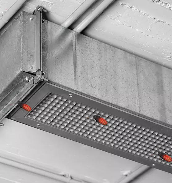 Affordable Insect Removal from Air Ducts in Cedar Hill, TX