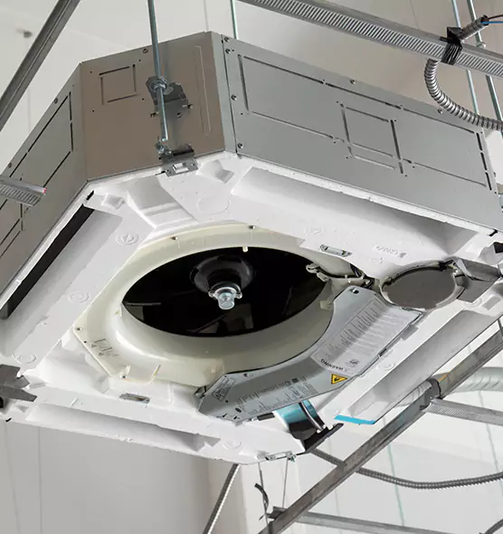 Professional Roof Vent Lint Removal Cedar Hill, TX