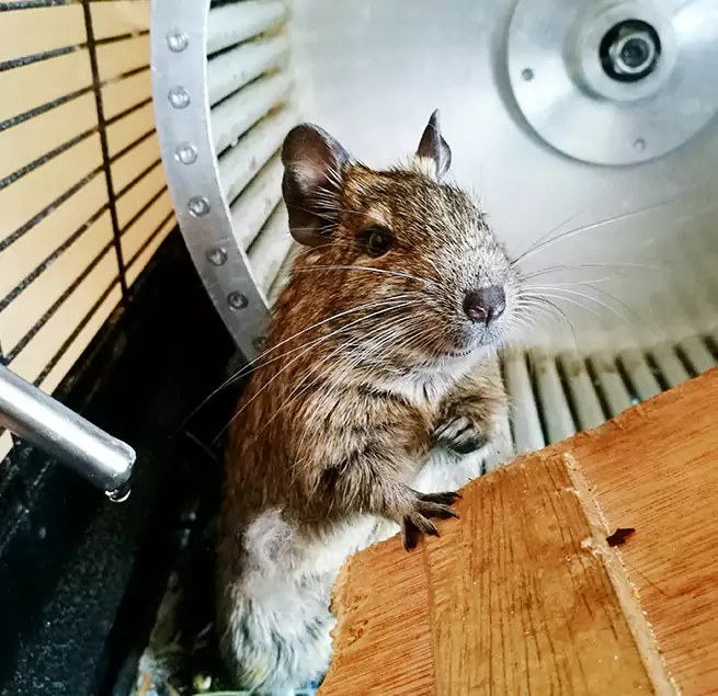 Why Homeowners & Businesses Trust Us Cedar Hill, TX?