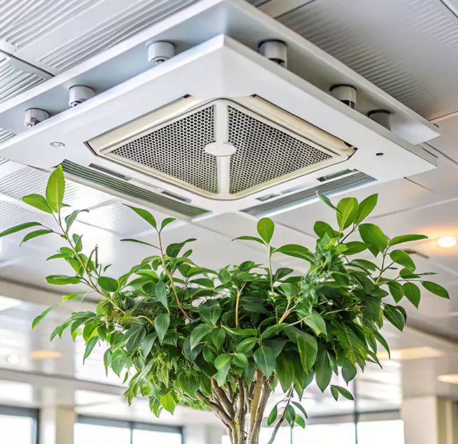 Why Homeowners & Businesses Trust Us in Cedar Hill, TX