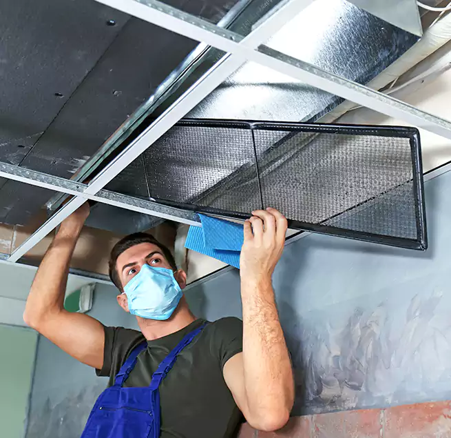 Why Homeowners Businesses Trust Us in Cedar Hill, TX